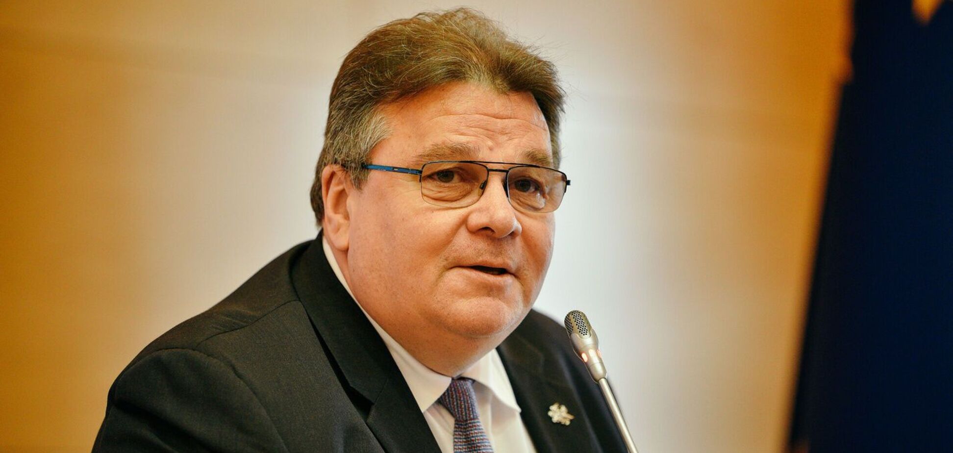 Лінкявічюс висловив стурбованість переслідуванням Порошенка в Україні