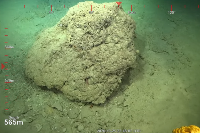 Исследователи окрестили находку подводным небоскребом