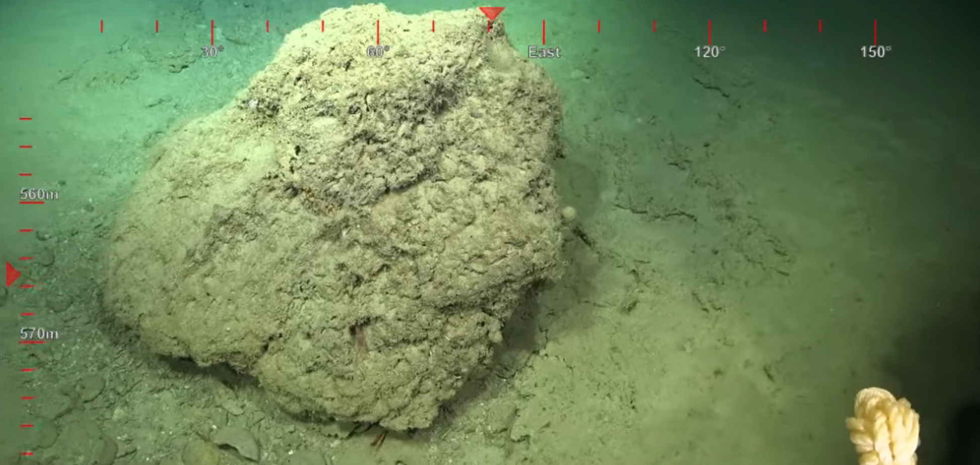 Исследователи окрестили находку подводным небоскребом