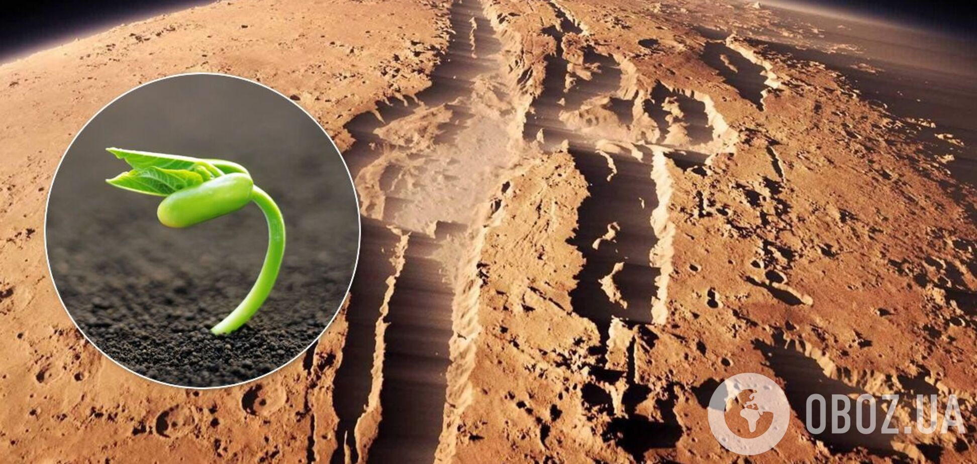 Вчені придумали, як вирощувати рослини на Марсі