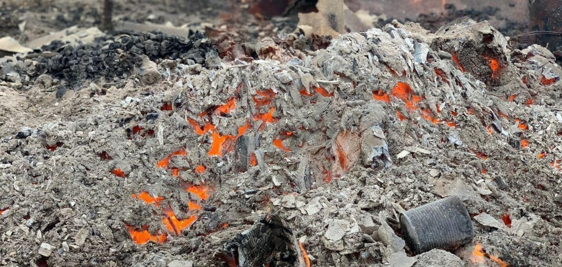 Пожарные несколько дней боролись с огнем