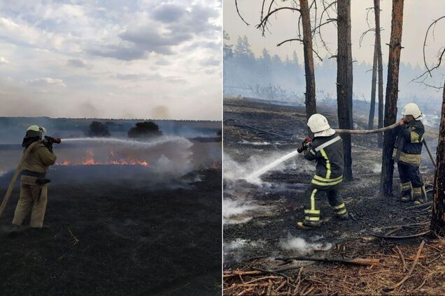 Спасатели гасят пожары в шести очагах