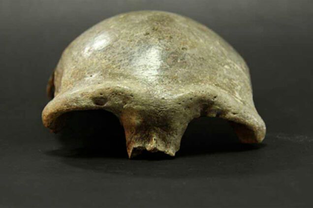 Вчені проаналізували останки жінки, яка жила 34 тисячі років тому