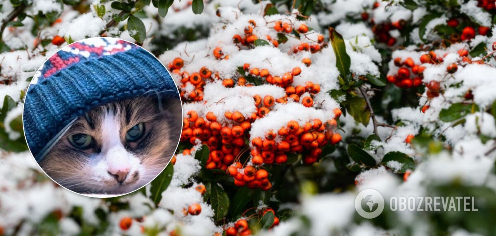 Взимку Україну накриють морози і заллє дощем: синоптики дали прогноз