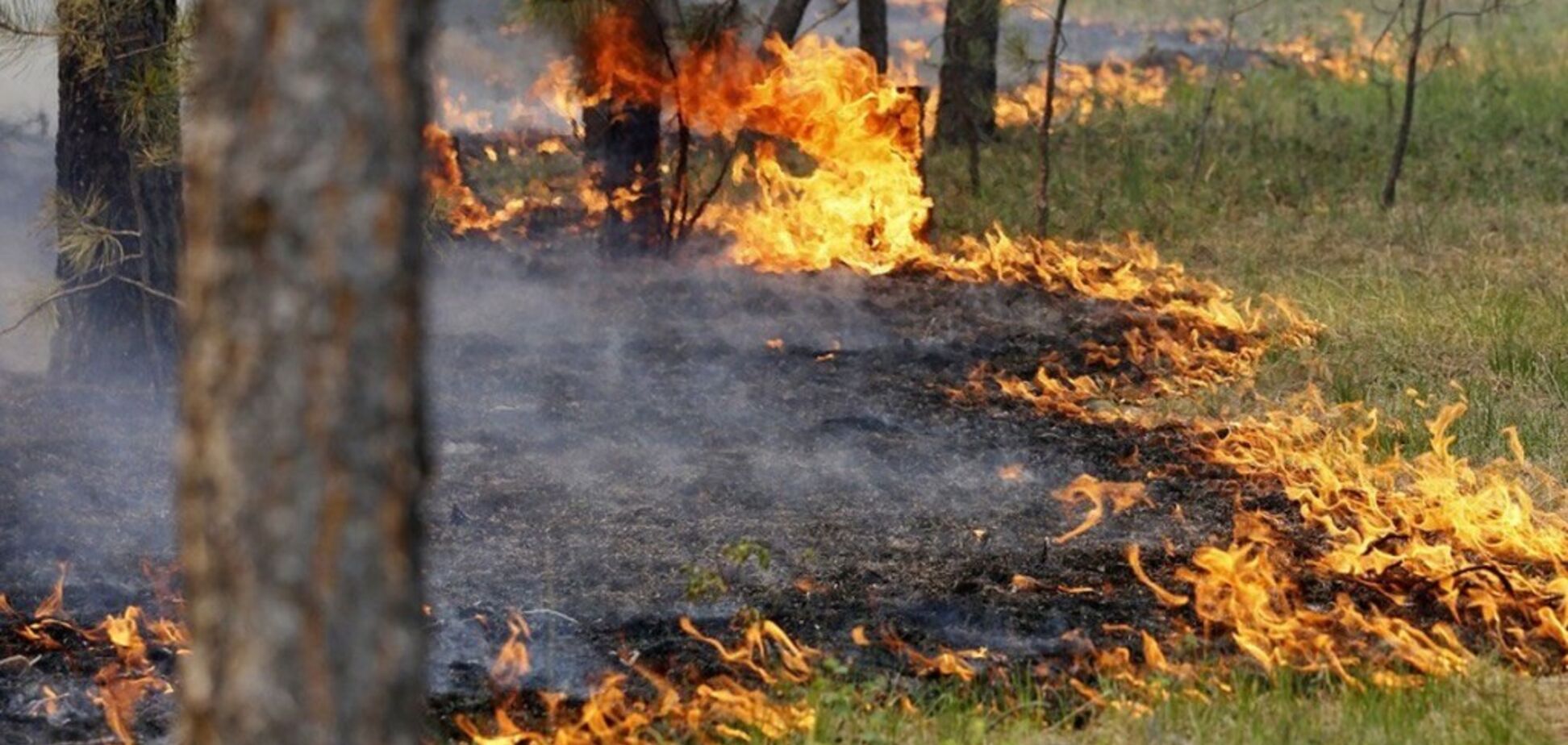 Стало известно, в каких областях высокий риск возгораний