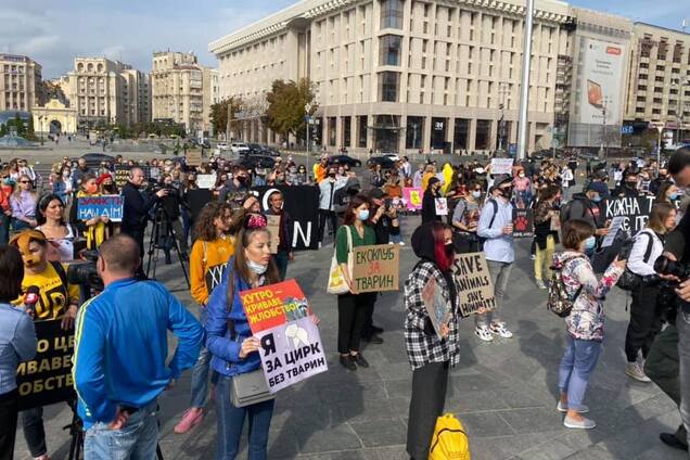 На Майдане Независимости прошла акция 'Стань на защиту животных!'