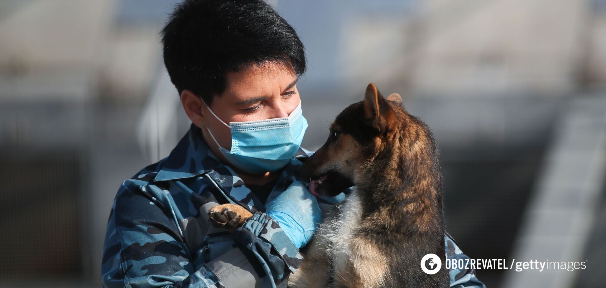 Фінська експертка поділилася досвідом тренування собак