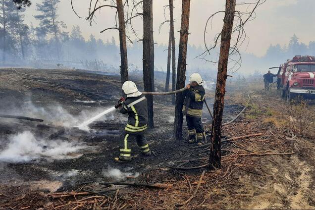 Пожары в Луганской области уничтожили 250 домов
