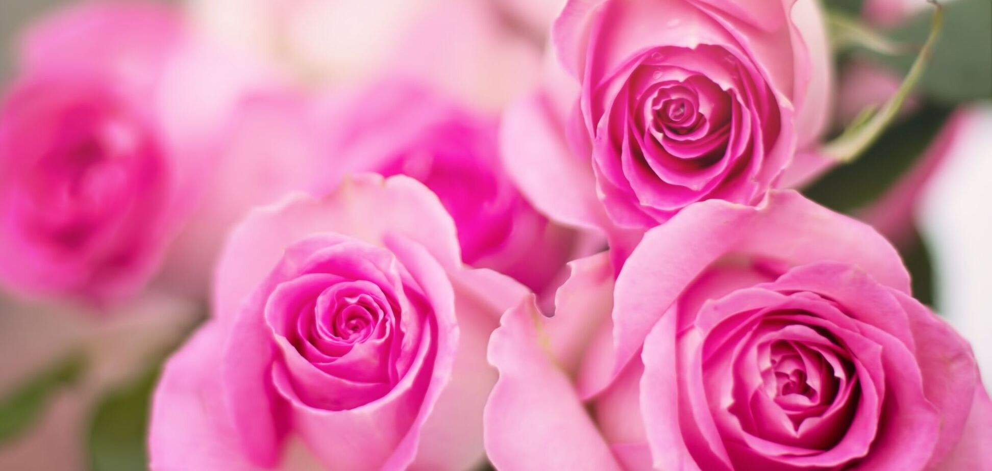 День юриста в Украине 2020: история, традиции и красивые поздравления с праздником