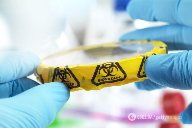 Супербактерия в лаборатории