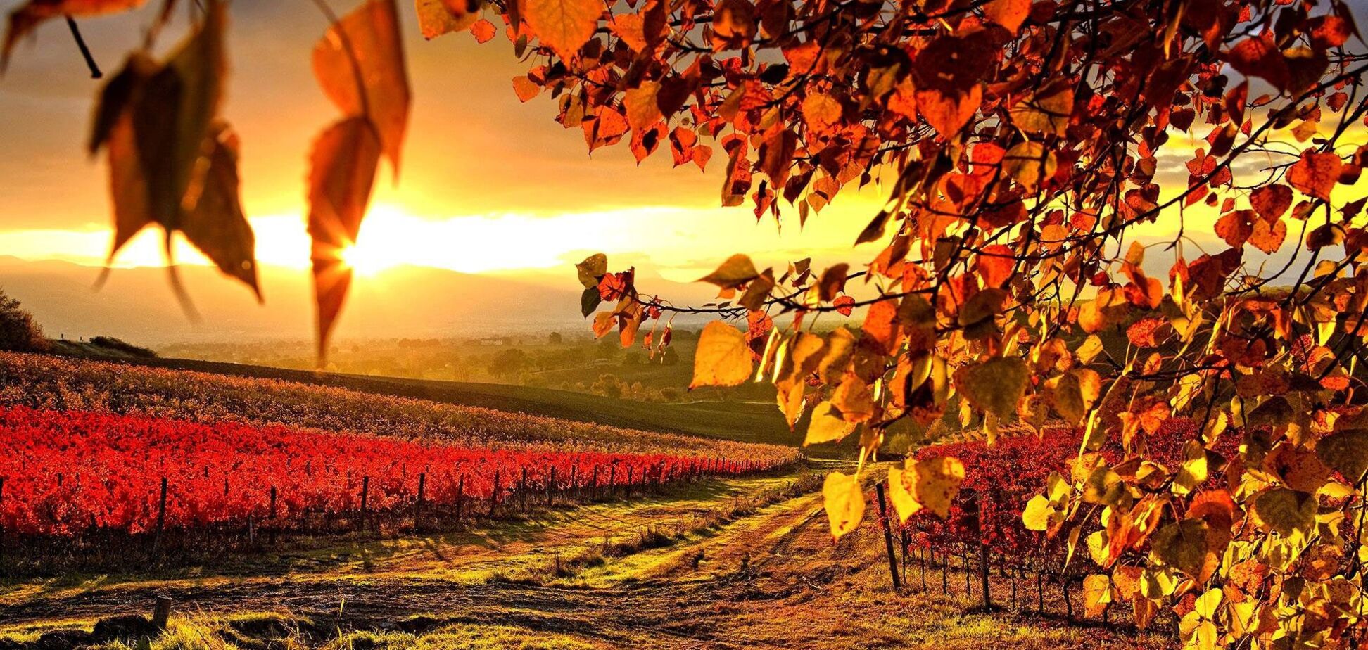 Що відзначають 11 жовтня: прикмети і свята