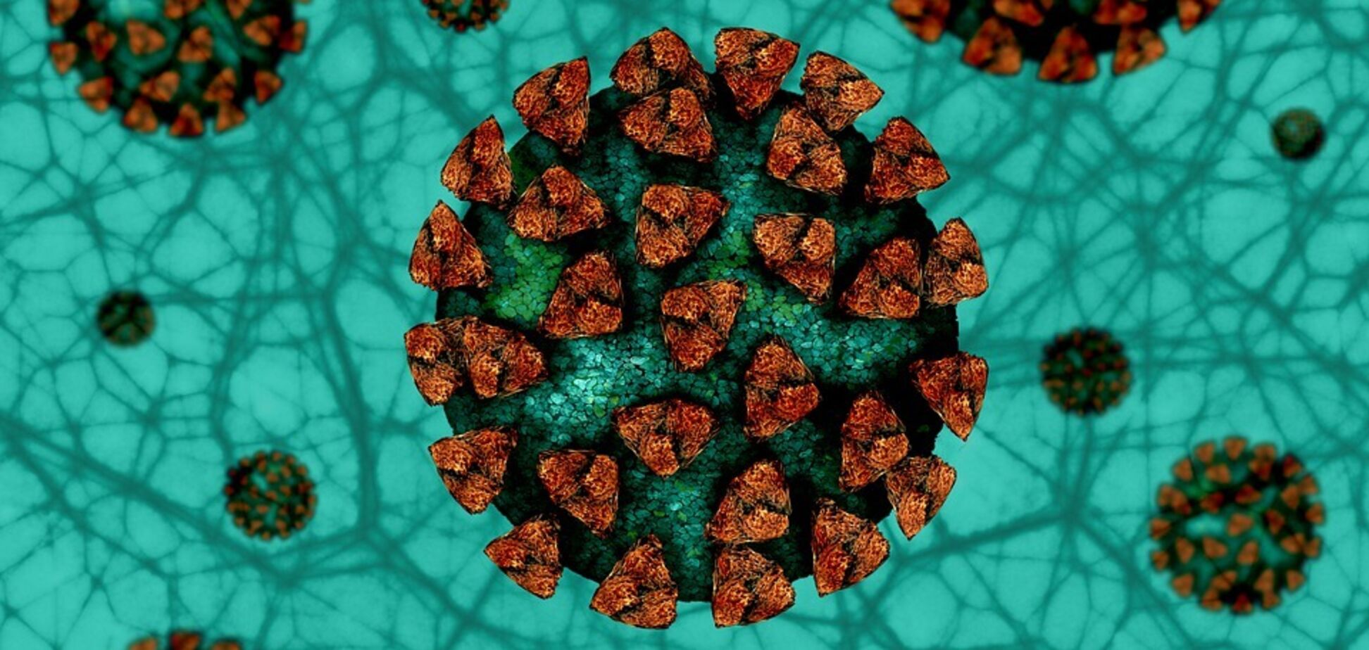У коронавірусі виявили невідомий ген