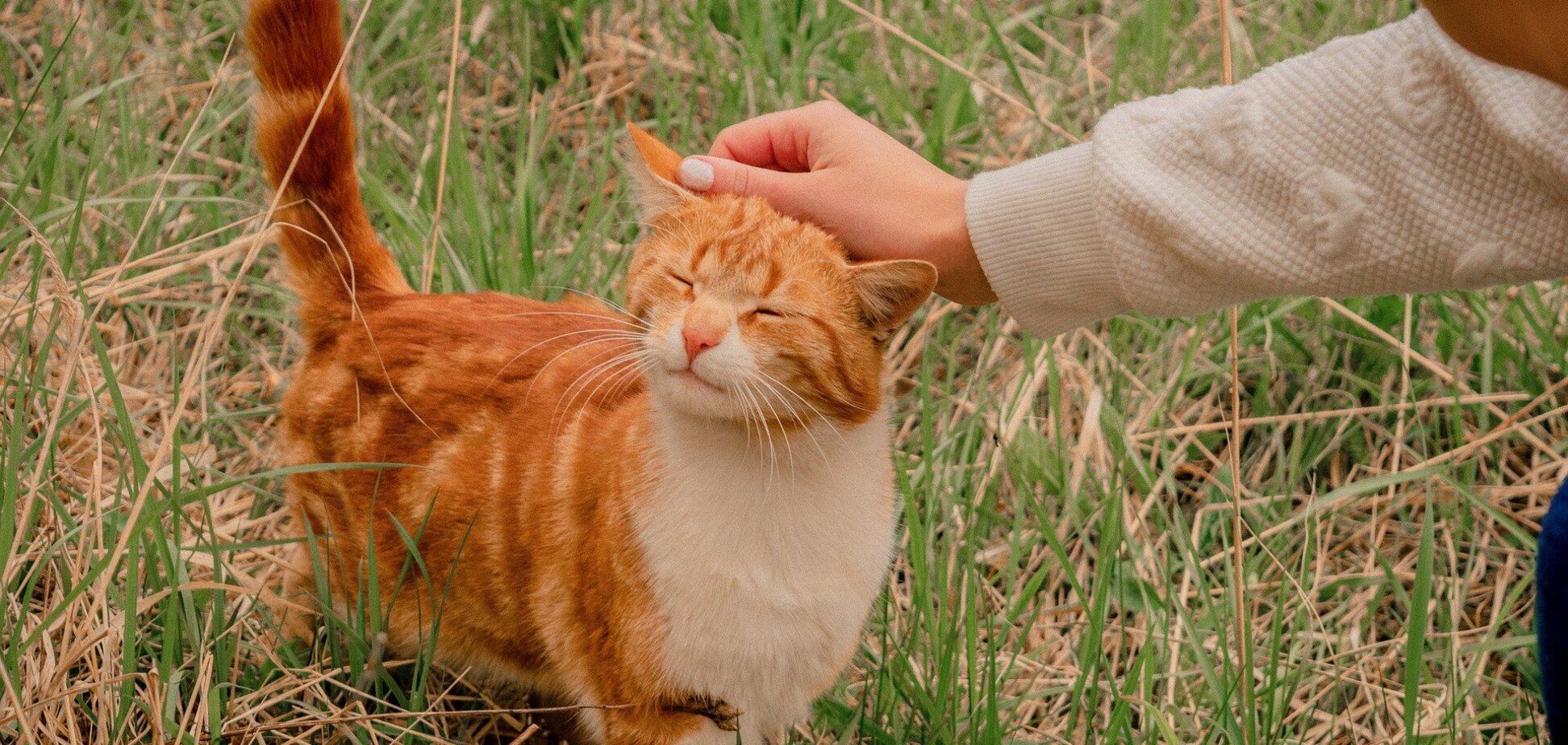 Что отмечают в Украине и мире 13 ноября