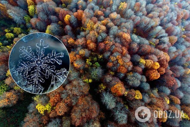 До кінця листопада погода тричі піде в 'мінус', – народний синоптик