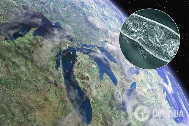 Ученые разгадали тайну возникновения жизни на Земле