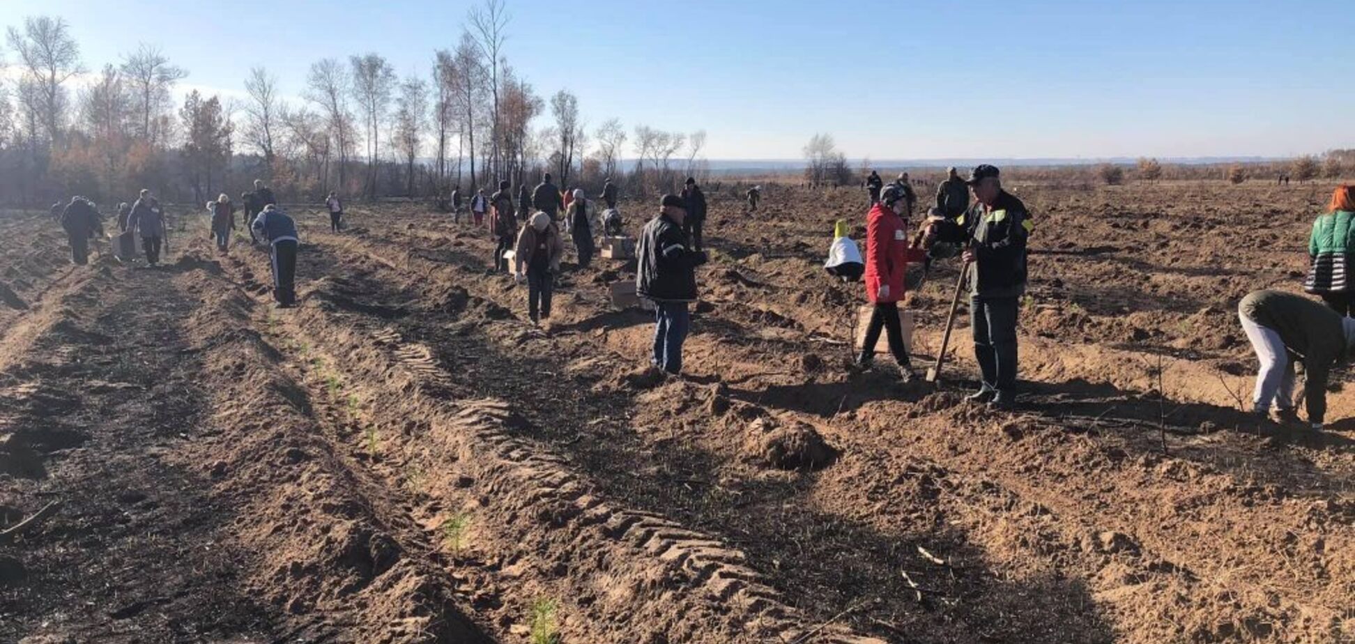 На Луганщині висадили Львівський гай