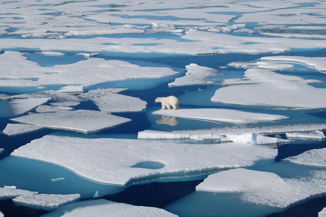 В арктических морях зафиксировали рекордную концентрацию метана