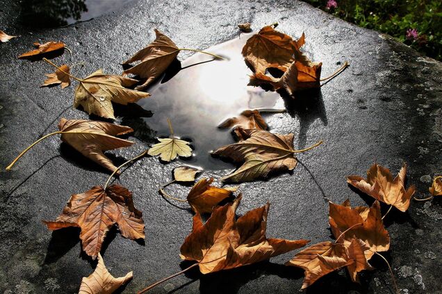 Погода на 19 ноября в Украине и Киеве