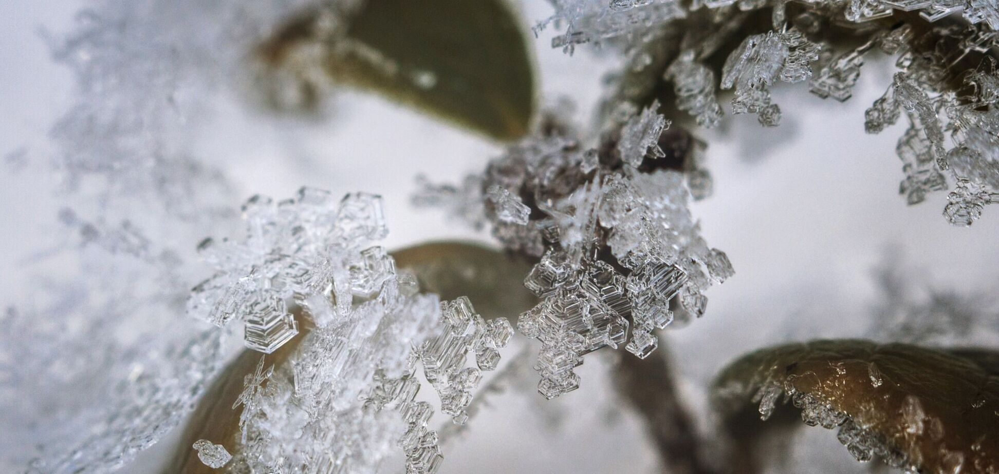 В Украине в четверг усилятся морозы