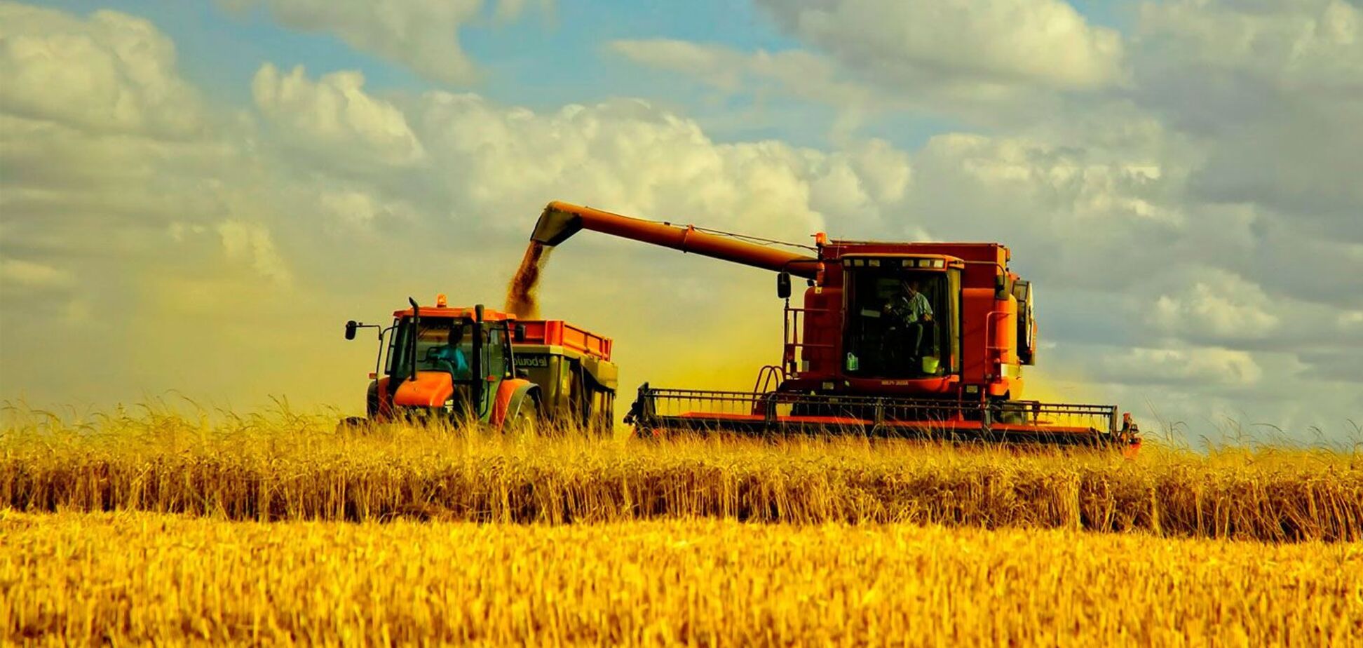 Агроолигархи добиваются снижения НДС, превращая Украину в сырьевой придаток, – блогер