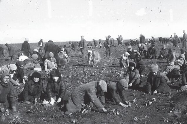 Детский труд повсеместно применялся в СССР