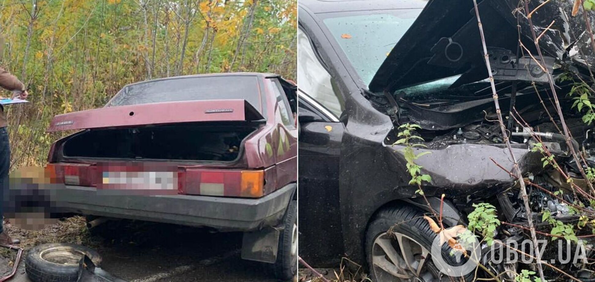 У ДТП на Чернігівщині загинуло двоє людей