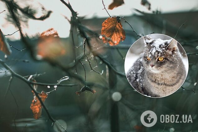 Синоптик назвал даты, когда в Украину придут морозы и снег