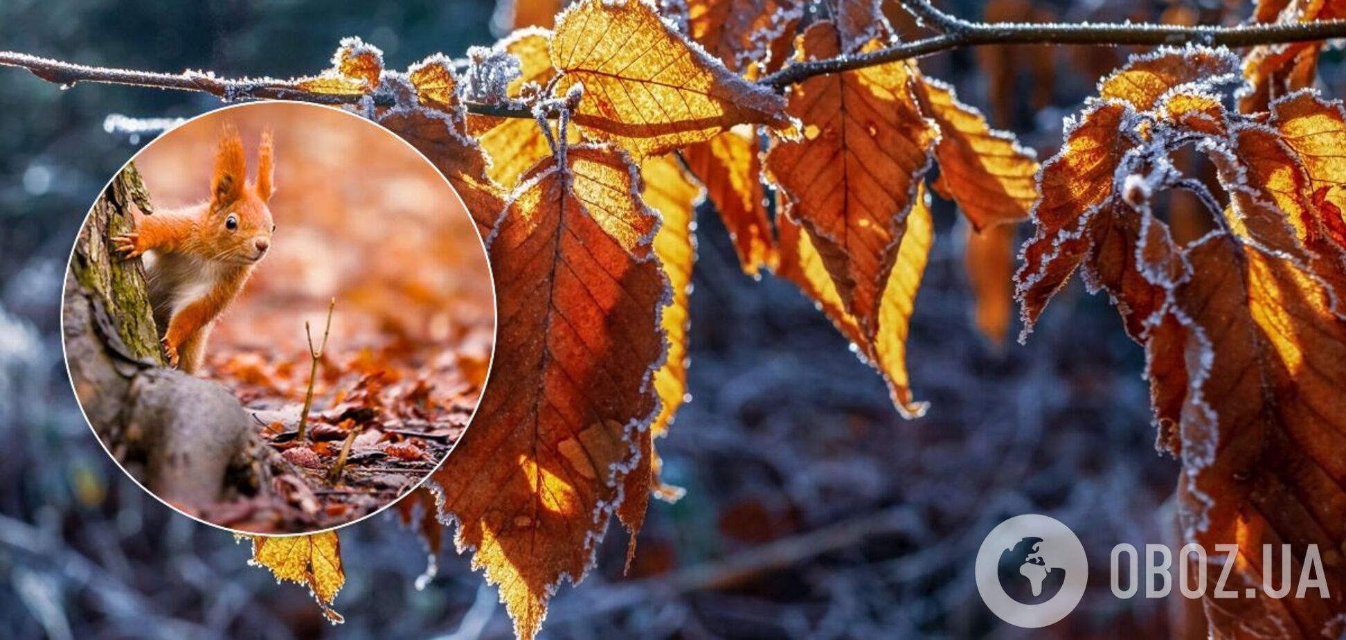 Прогноз погоды в Украине