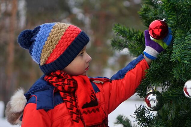 Головну новорічну ялинку у Вінниці встановлювати не будуть