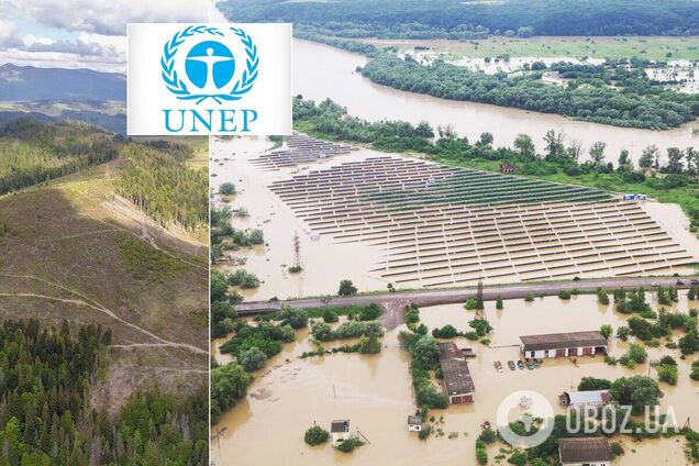 В ООН предупредили о реальной опасности для украинских Карпат