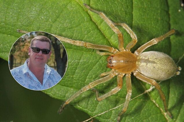 Мужчине ампутировали ноги после укуса паука