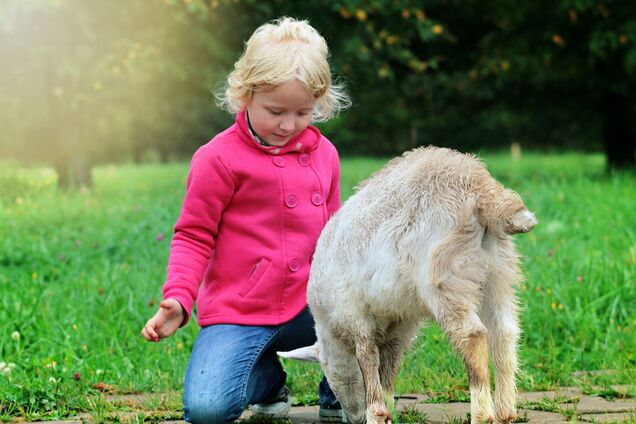 Всемирный день сострадания впервые отметили в Индии