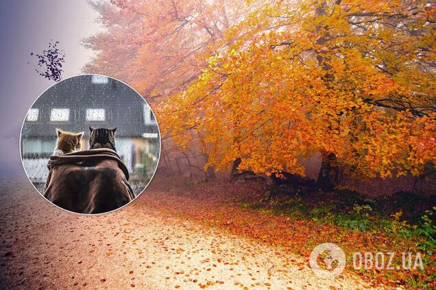Погода в Украине 4 ноября будет прохладной