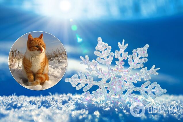 Синоптик сказал, какой будет зима 2020-2021 в Украине