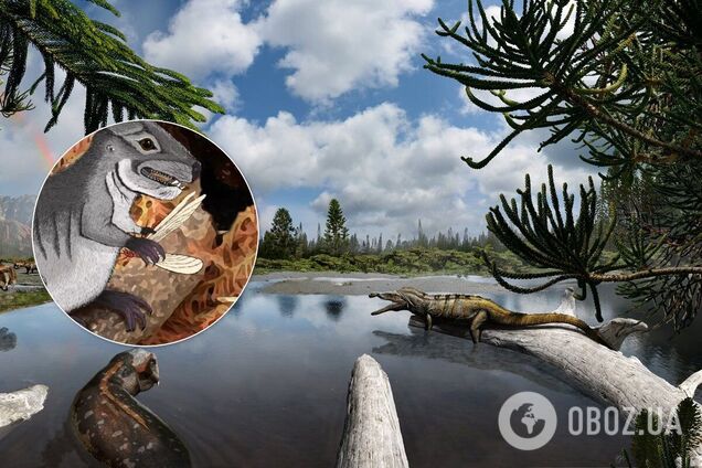 Найдено существо на раннем пути эволюции: жило 220 лет назад