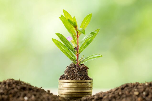 Політики спекулюють на екологічних проблемах, знищуючи надію на їх вирішення, - експерт