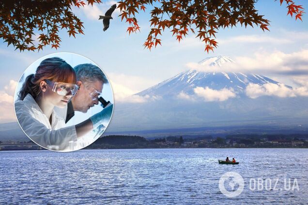 В Японии обнаружили настоящую 'Годзиллу'. Фото