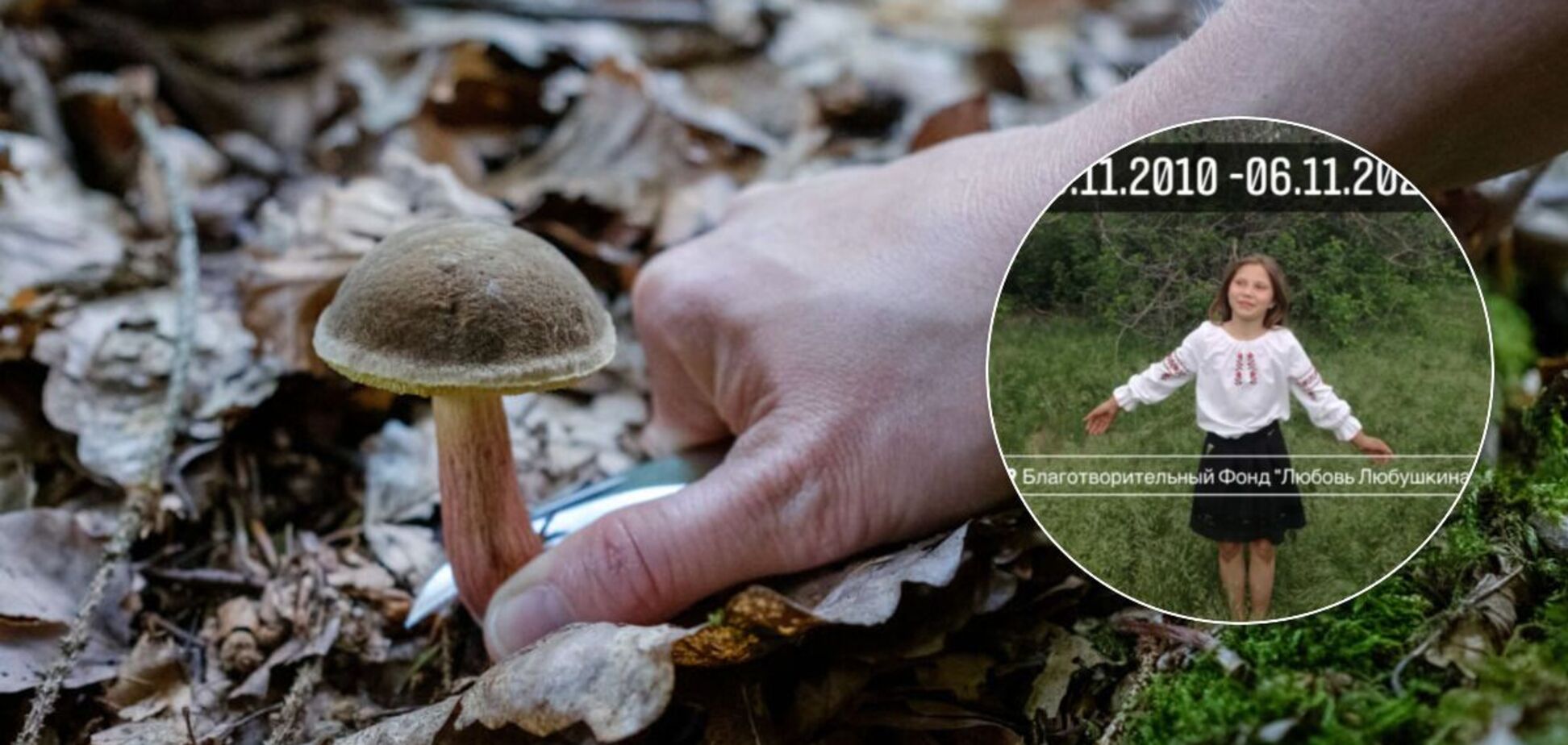 Дитина померла, але мати запевняла, що розбирається: Україну накрила хвиля отруєнь грибами