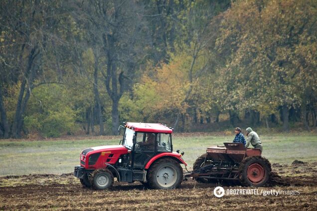 Глава правительства спрогнозировал пятикратное подорожание земли в Украине
