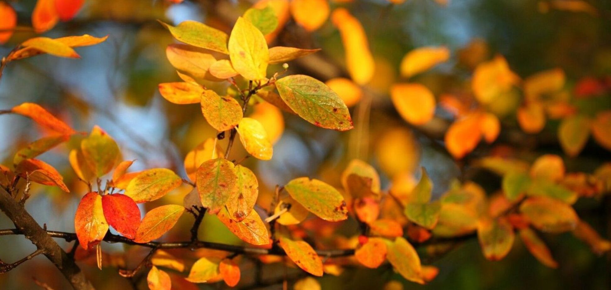 Что отмечают 8 ноября: приметы и праздники