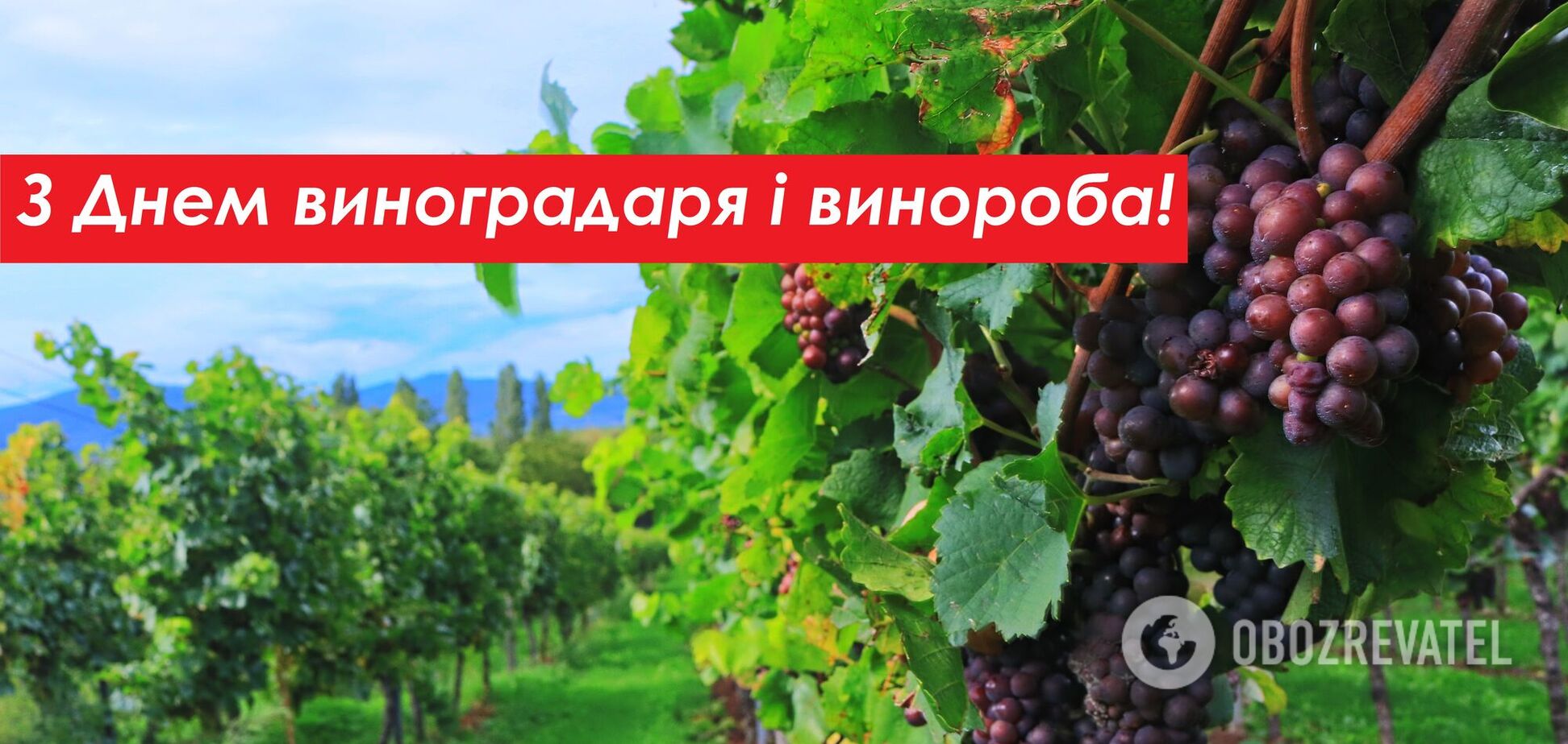 День виноградаря і винороба було засновано 2020 року