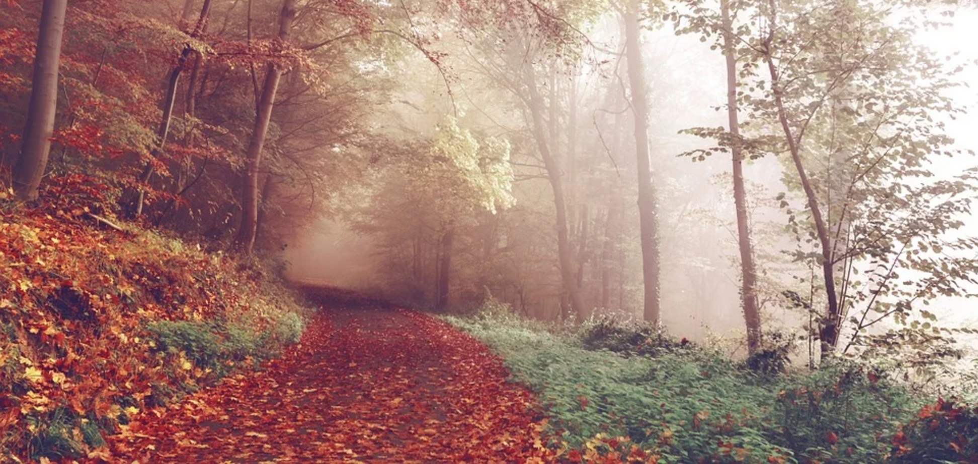 Во второй половине недели поползут ночные 'минусы'