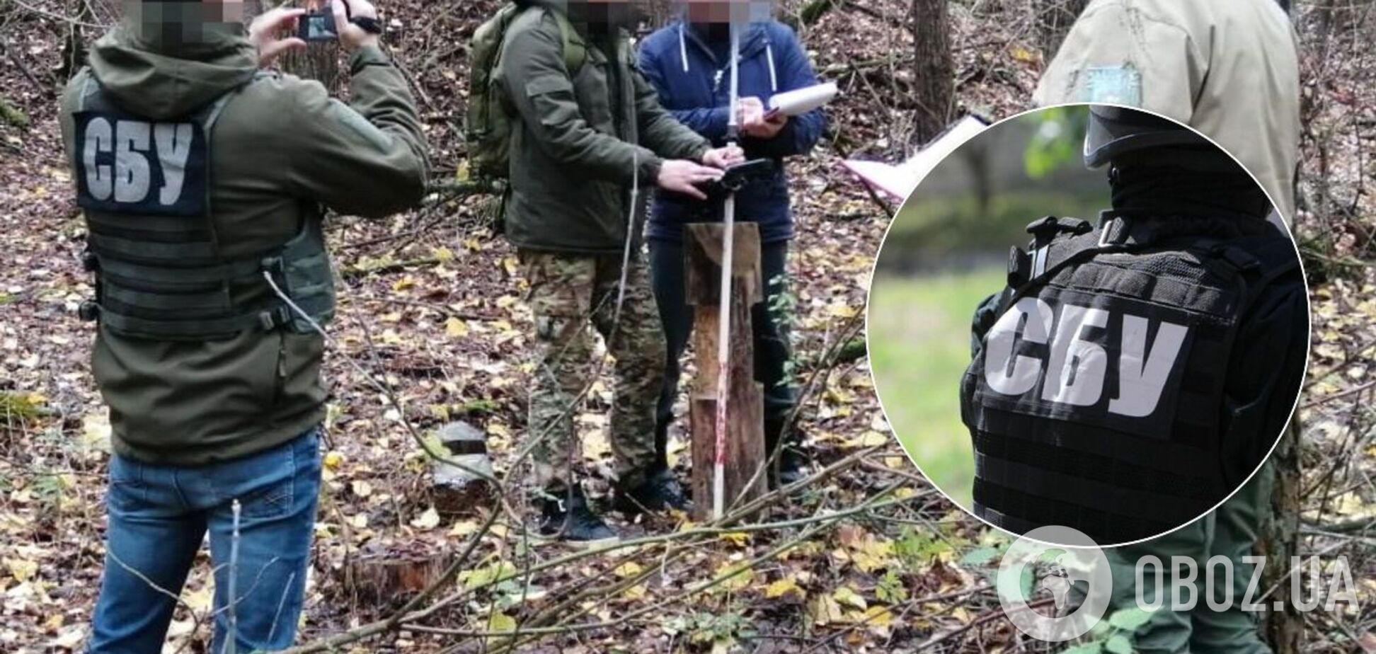 На Сумщине чиновники организовали массовую вырубку леса. Фото