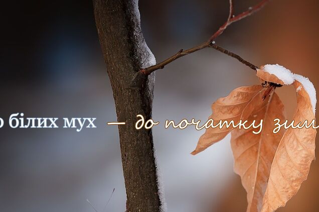 Типові мовні помилки