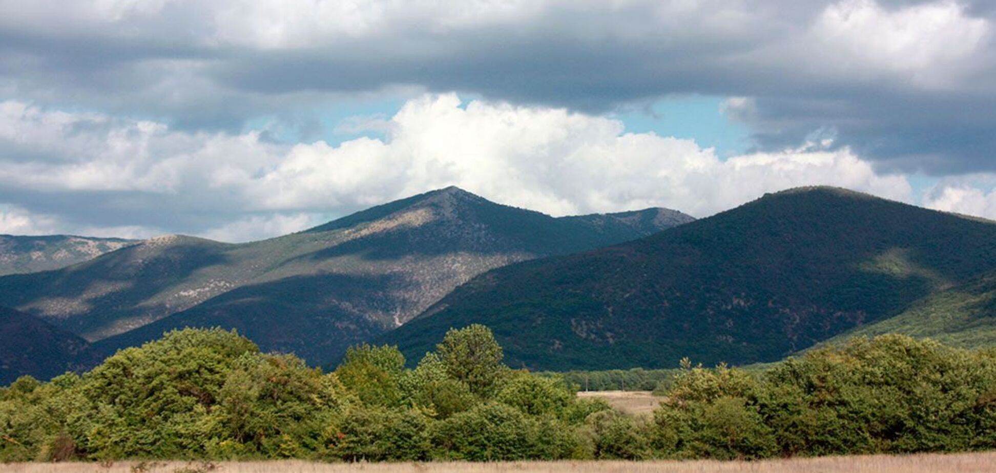 Под Севастополем дно загадочно пересохшего водоема хотят застроить домами – расследование
