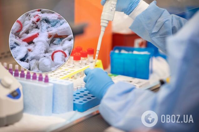 Под Сумами нашли незаконную медсвалку