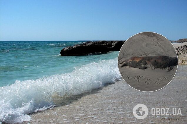 Є кілька версій загибелі тварин