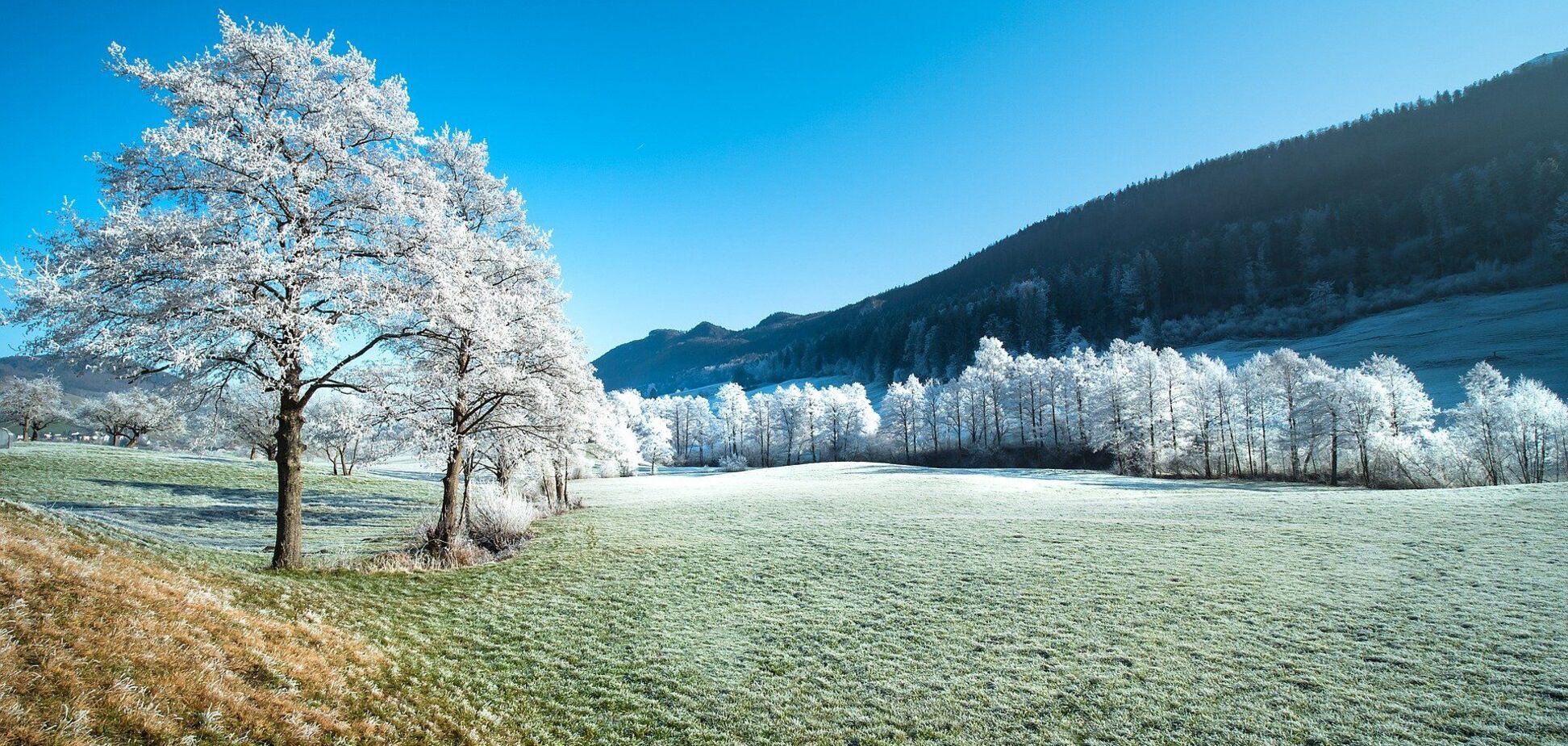 Что отмечают в Украине и мире 12 декабря