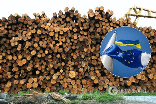 У Кабміні розповіли, коли можуть дозволити продавати ліс-кругляк в ЄС