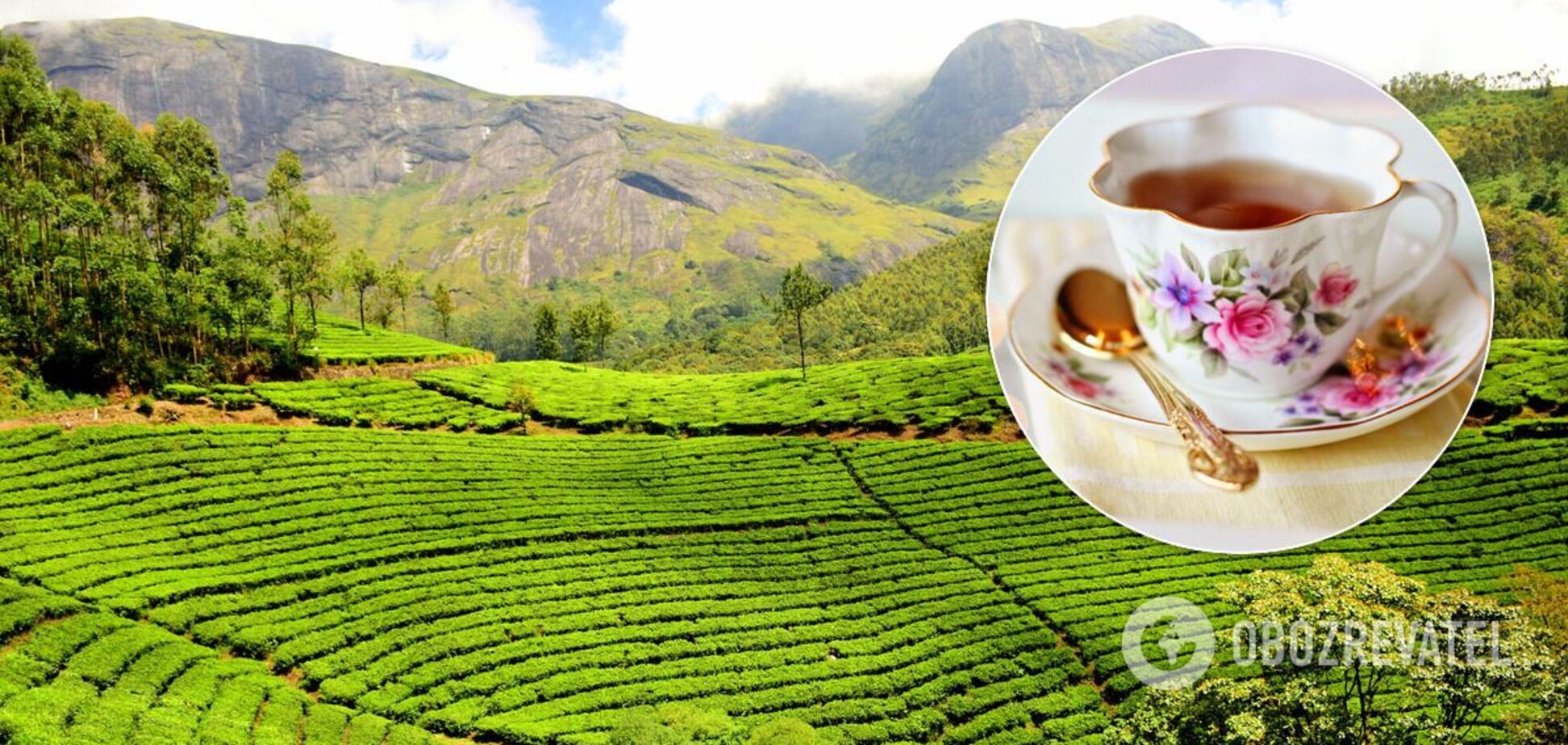 Международный день чая празднуют 15 декабря